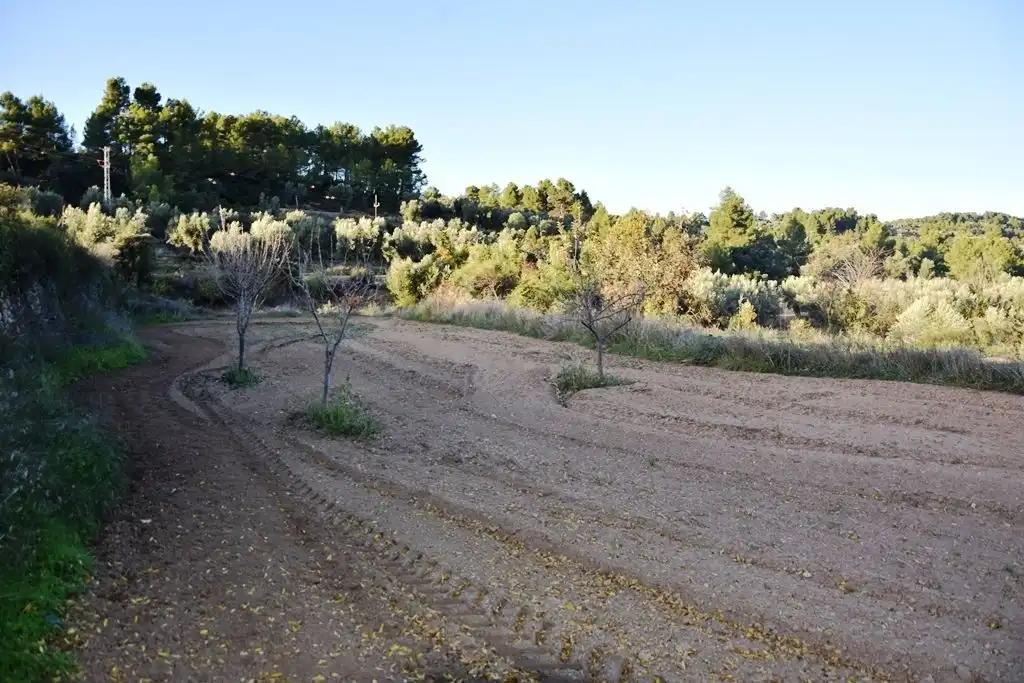 Finca en Venta en Horta de Sant Joan
