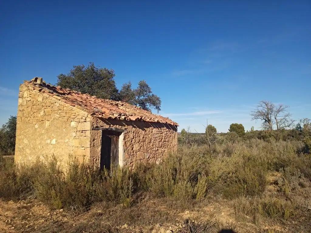 Finca en Venta en Calaceite