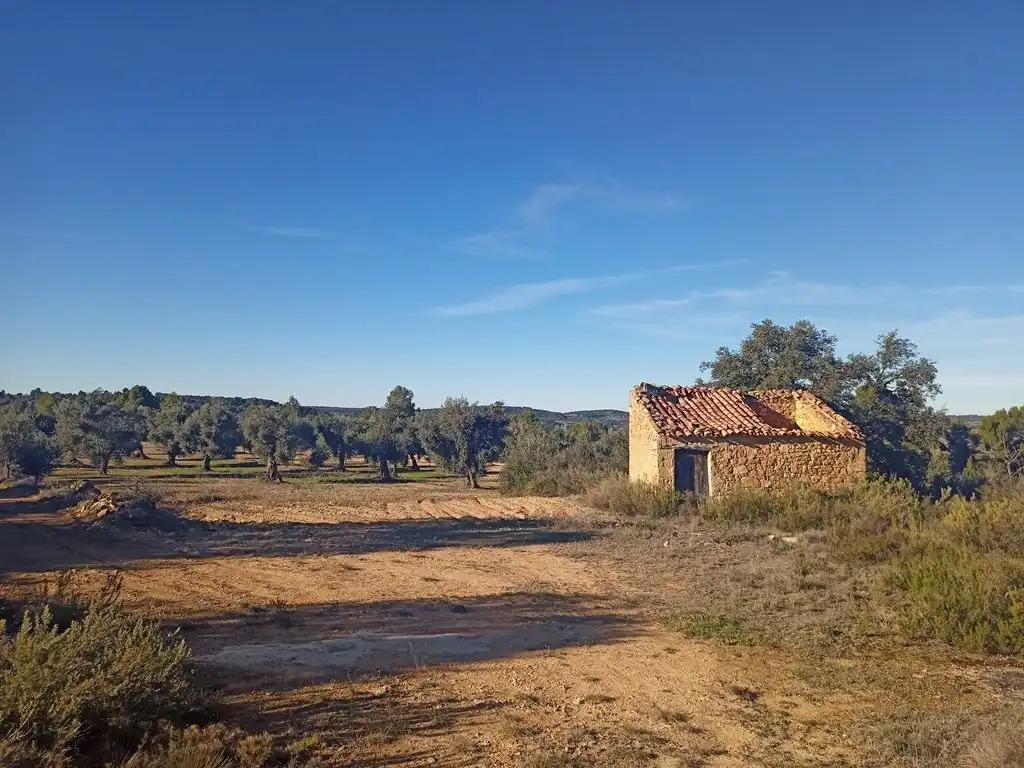 Finca en Venta en Calaceite