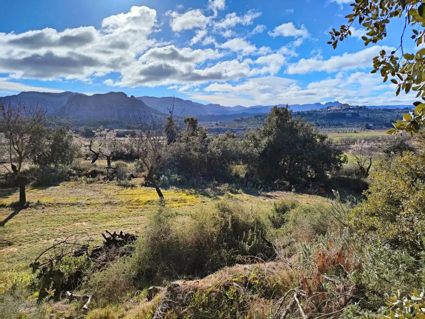 Casa en Venta en Horta de Sant Joan