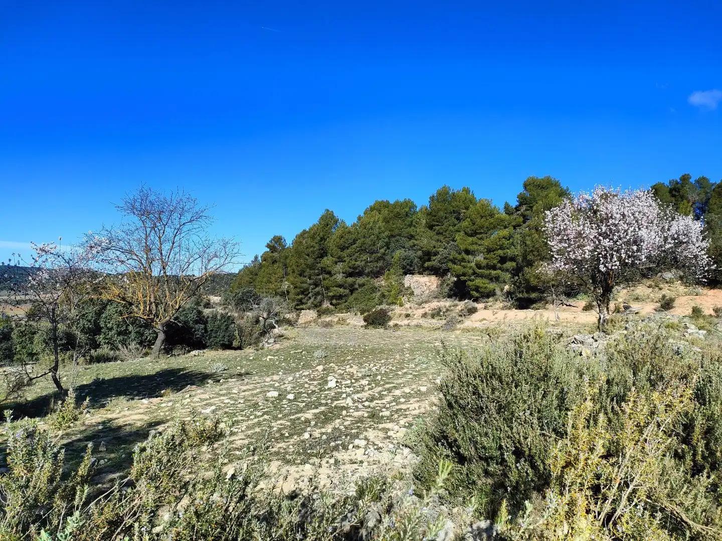 Casa en Venta en Horta de Sant Joan