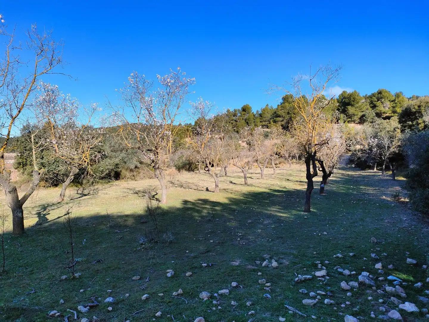 Casa en Venta en Horta de Sant Joan