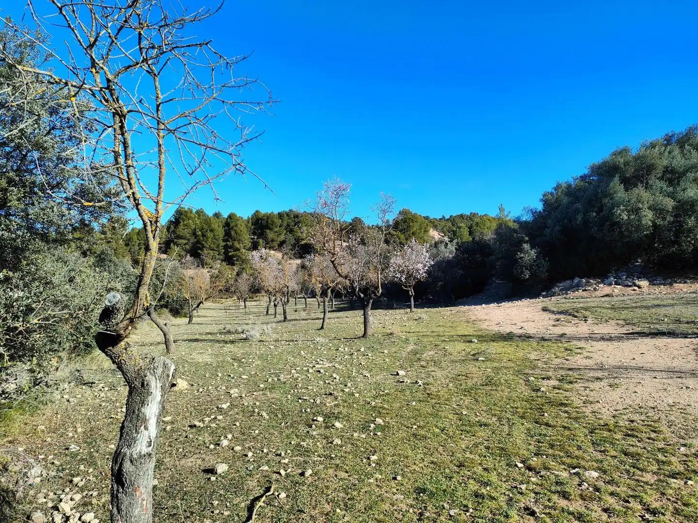 Casa en Venta en Horta de Sant Joan