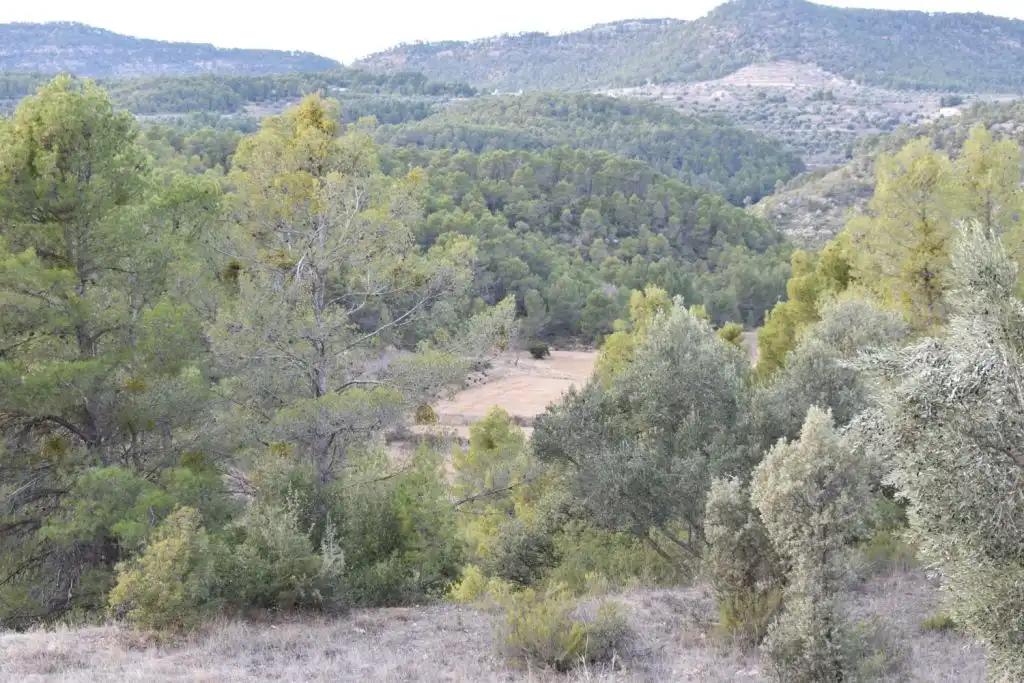 Casa en Venta en Valderrobres