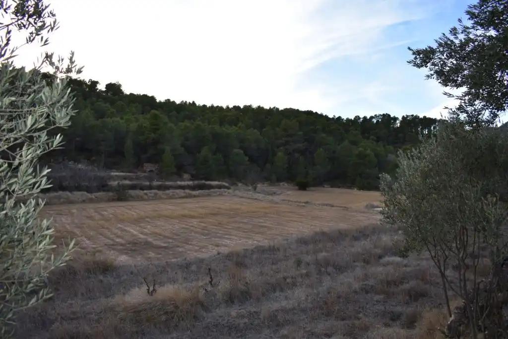 Casa en Venta en Valderrobres