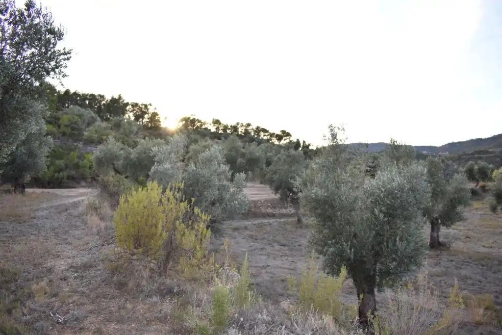 Casa en Venta en Valderrobres