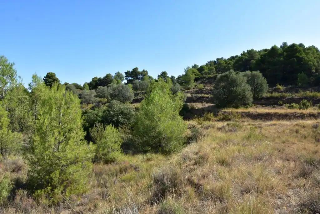 Casa en Venta en Valderrobres