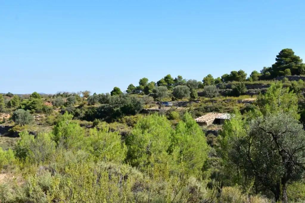 Casa en Venta en Valderrobres