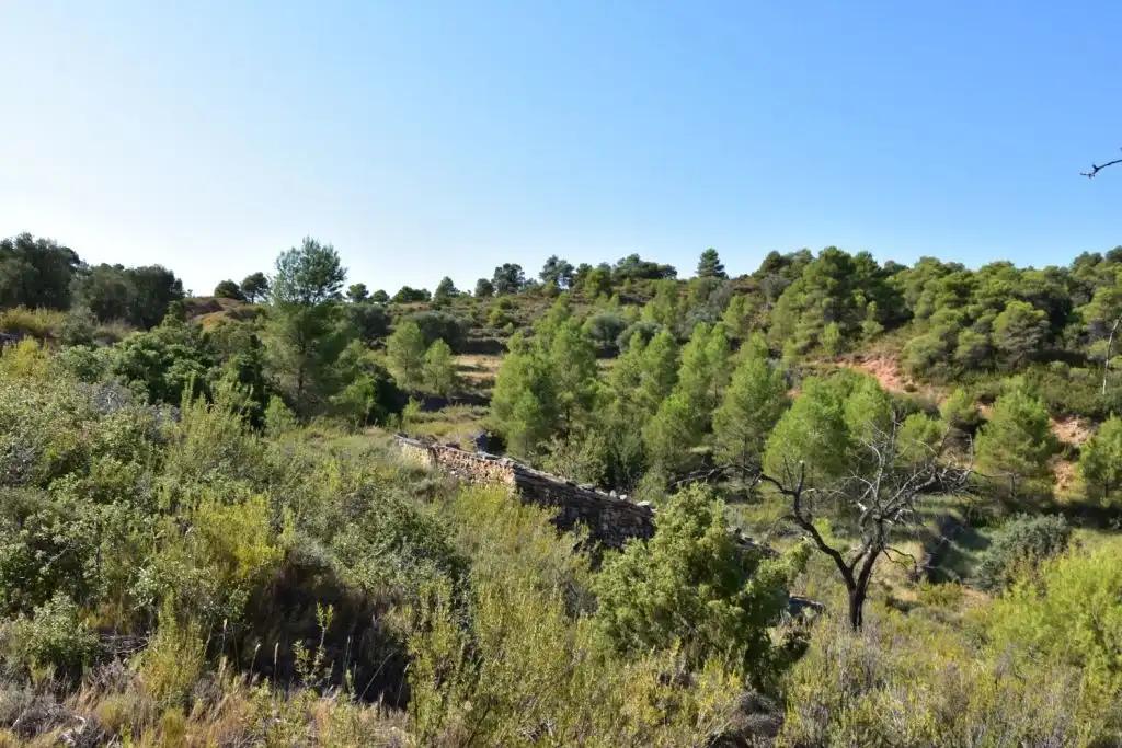 Casa en Venta en Valderrobres