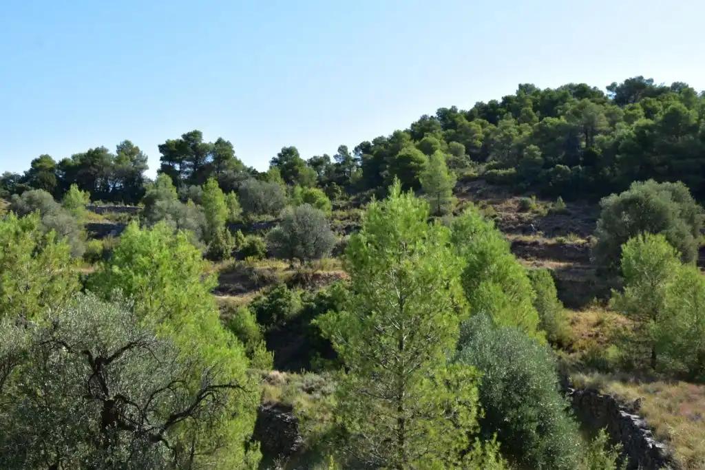 Casa en Venta en Valderrobres