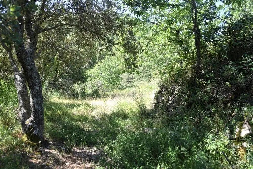 Finca en Venta en Peñarroya de Tastavins