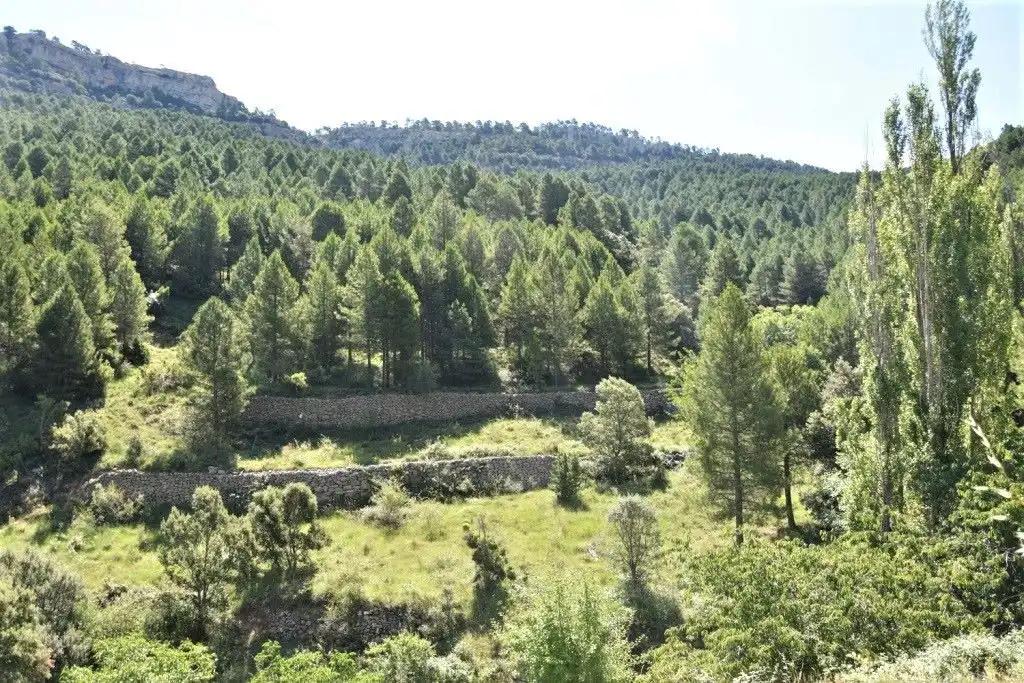 Finca en Venta en Peñarroya de Tastavins