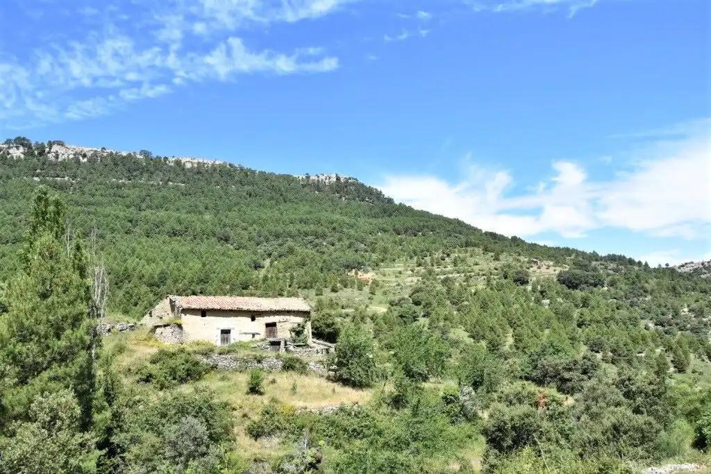 Finca en Venta en Peñarroya de Tastavins