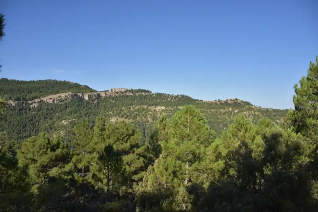 Casa en Venta en Beceite
