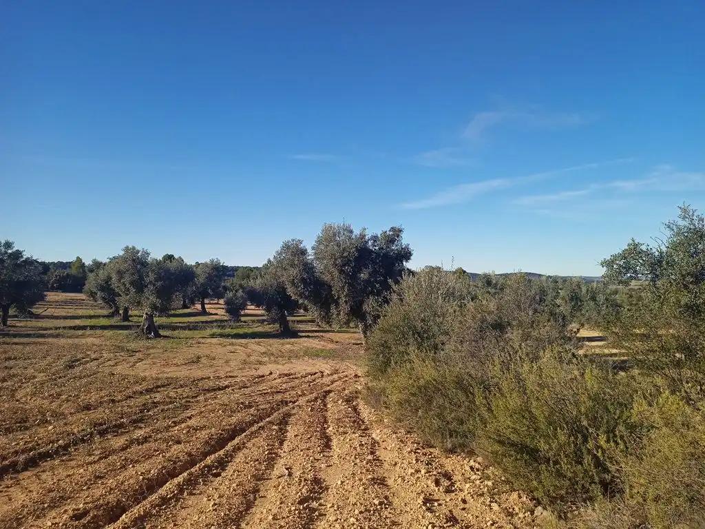 Finca en Venta en Calaceite