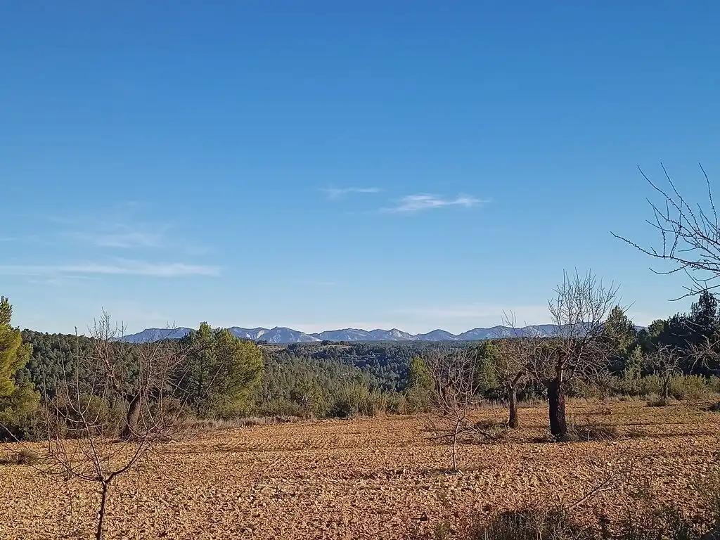 Finca en Venta en Calaceite
