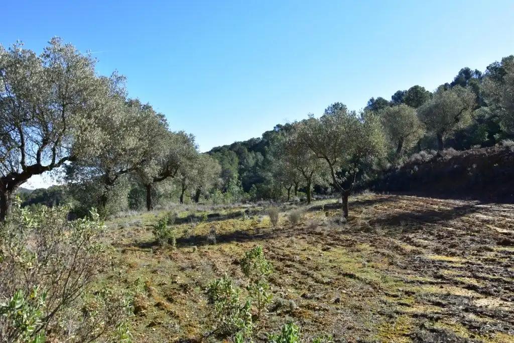 Casa en Venta en Arens de Lledó