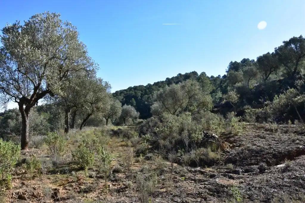 Casa en Venta en Arens de Lledó