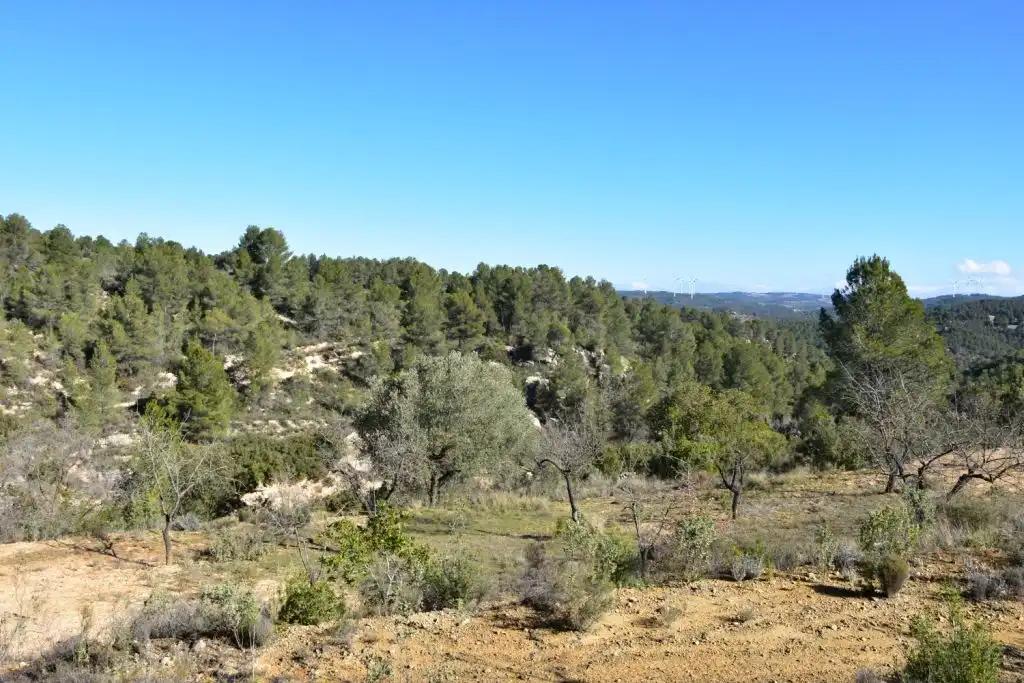 Casa en Venta en Arens de Lledó