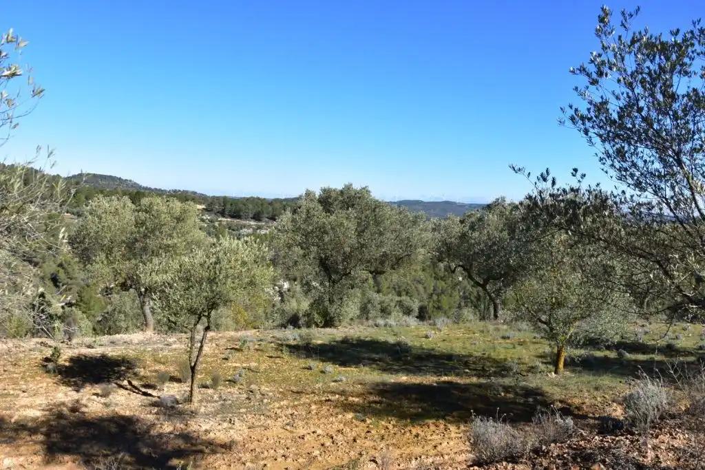 Casa en Venta en Arens de Lledó