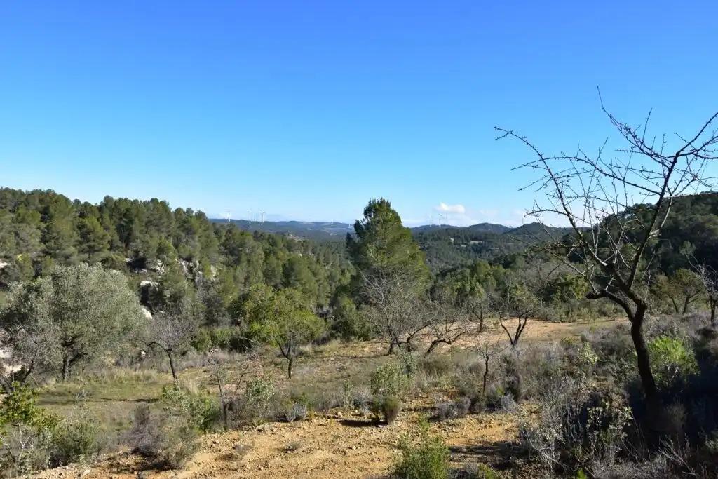 Casa en Venta en Arens de Lledó