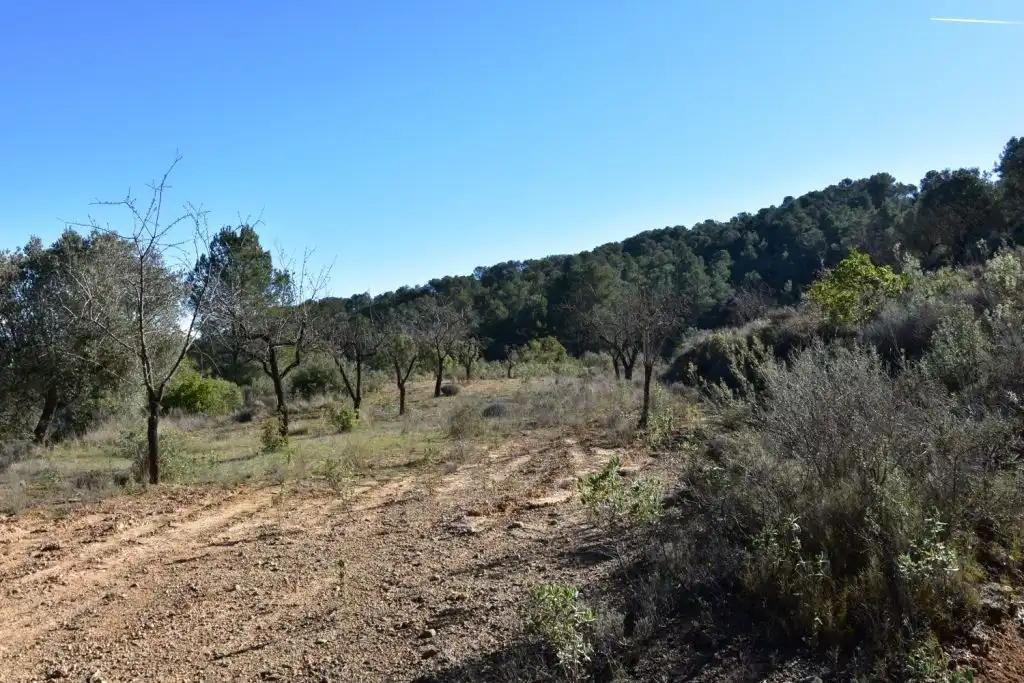 Casa en Venta en Arens de Lledó