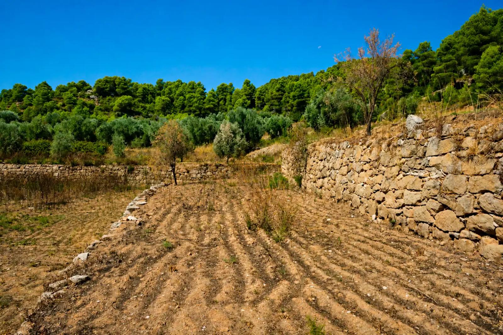 Finca en Venta en Valderrobres