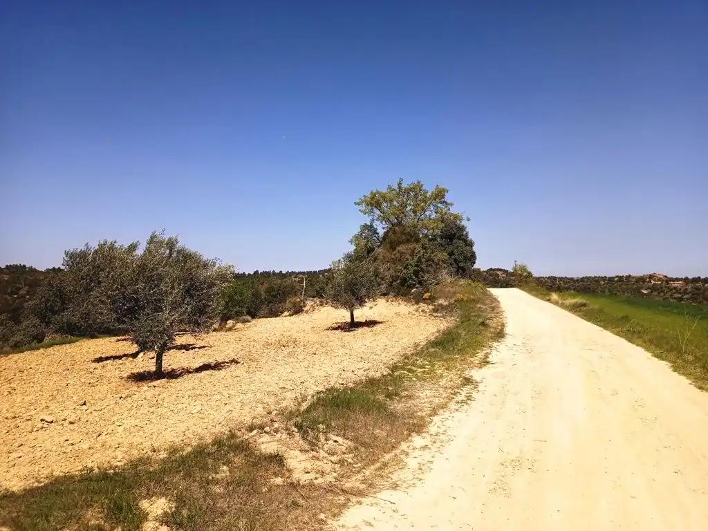 Finca en Venta en Cretas