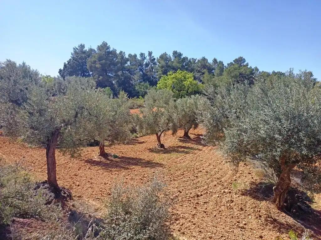 Finca en Venta en Cretas