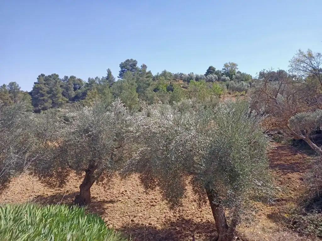 Finca en Venta en Cretas
