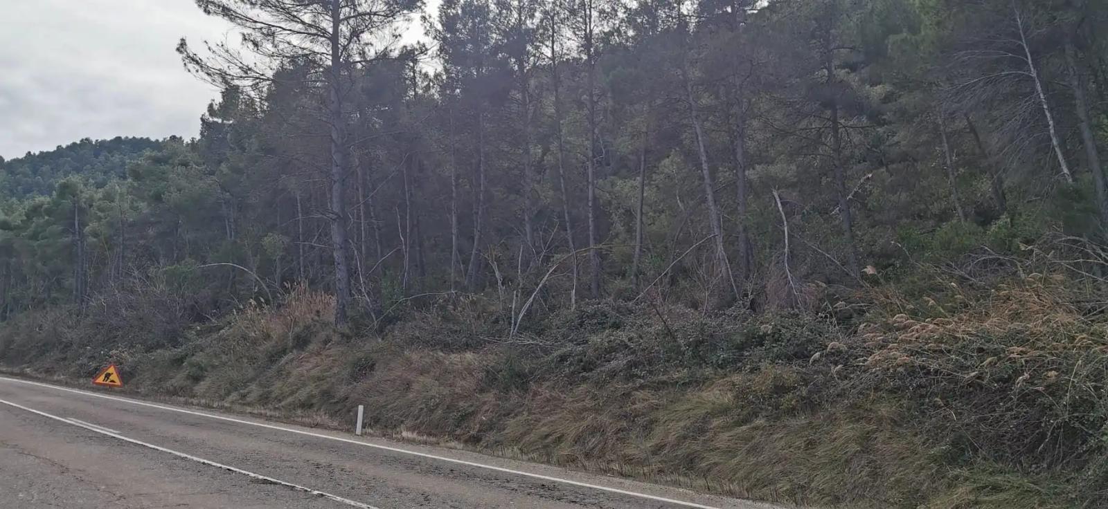 Finca en Venta en Valderrobres