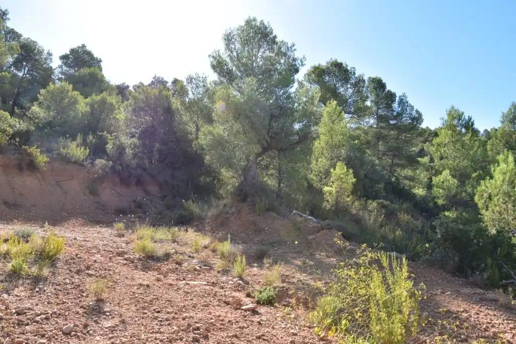 Finca en Venta en Valderrobres