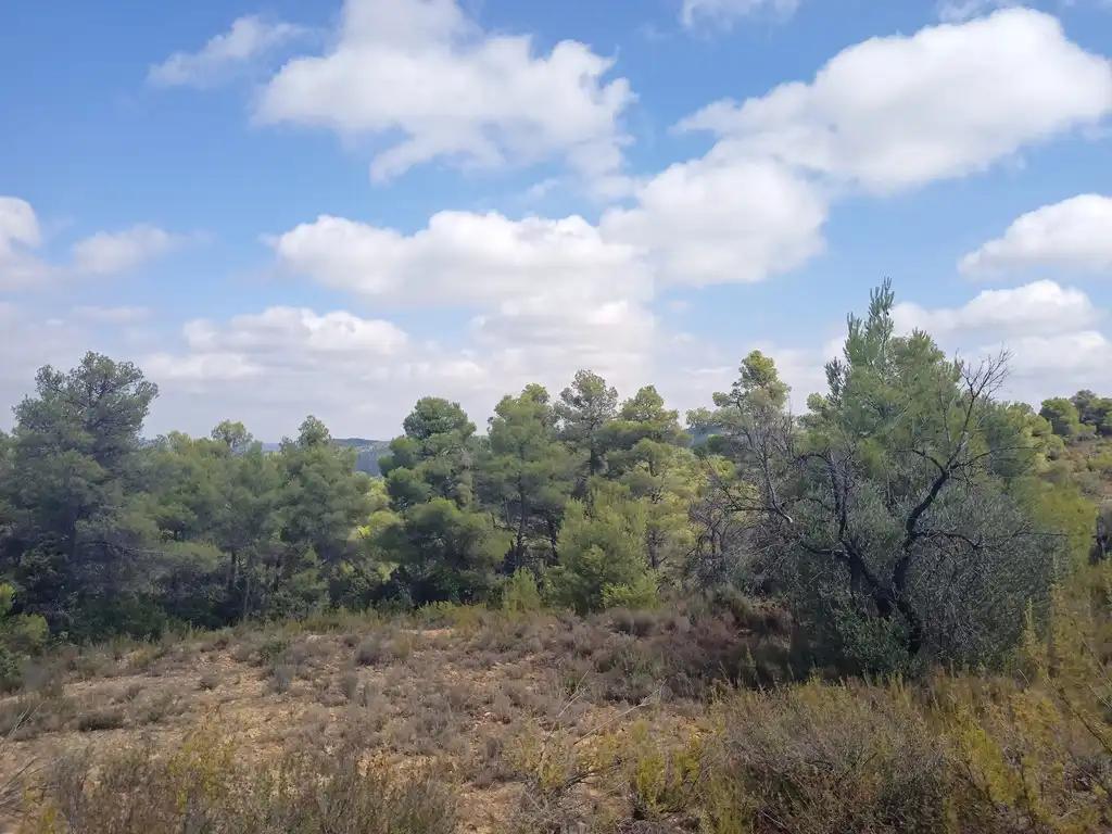 Finca en Venta en Valderrobres