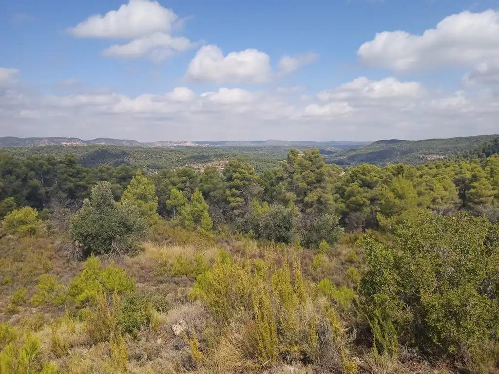 Finca en Venta en Valderrobres