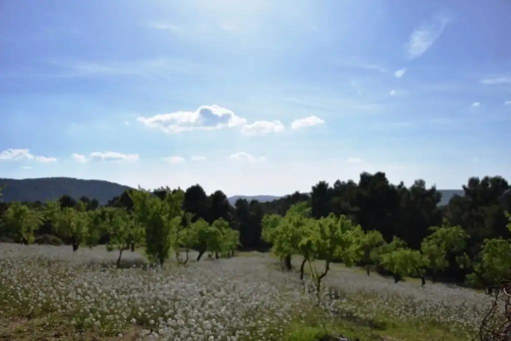 Finca en Venta en Valderrobres
