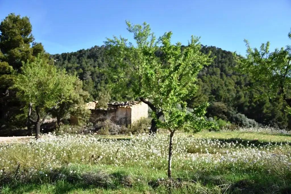 Finca en Venta en Valderrobres