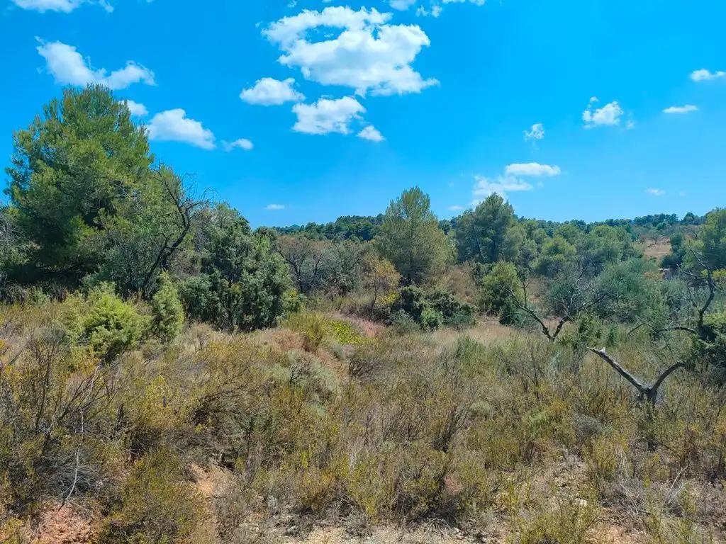 Finca en Venta en Valderrobres