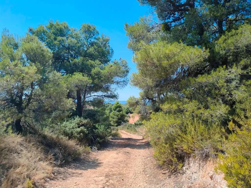 Finca en Venta en Valderrobres