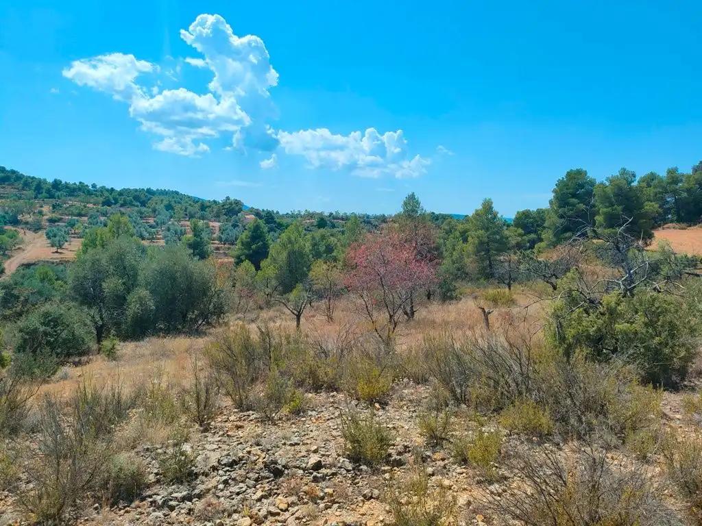Finca en Venta en Valderrobres