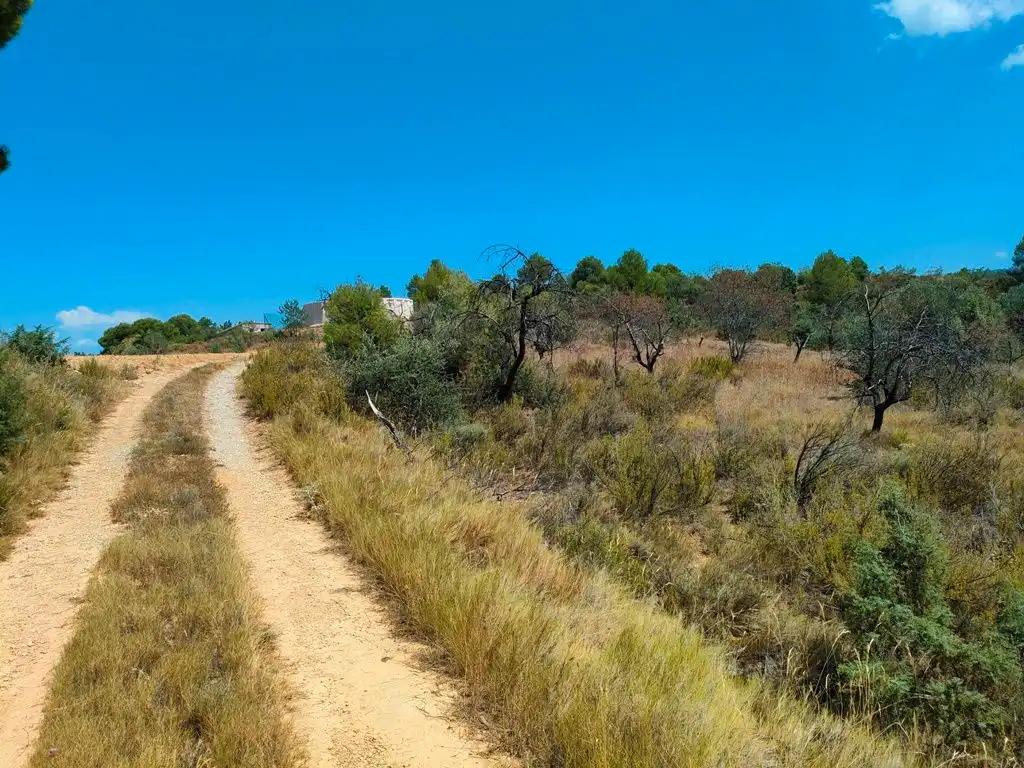 Finca en Venta en Valderrobres