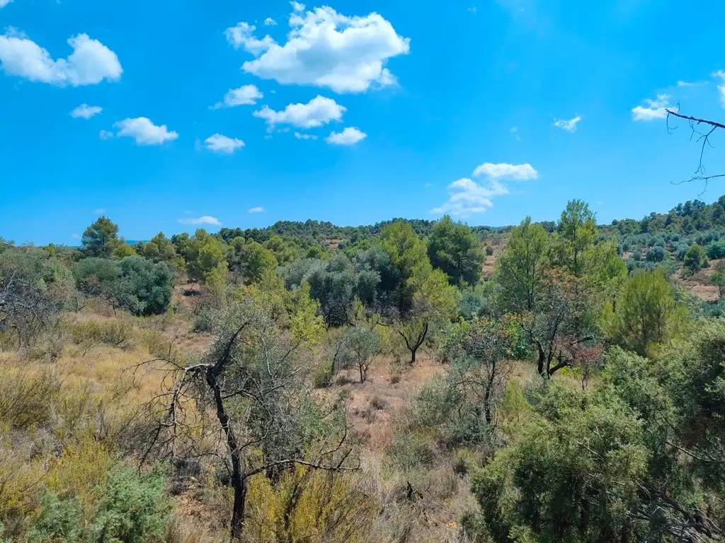 Finca en Venta en Valderrobres
