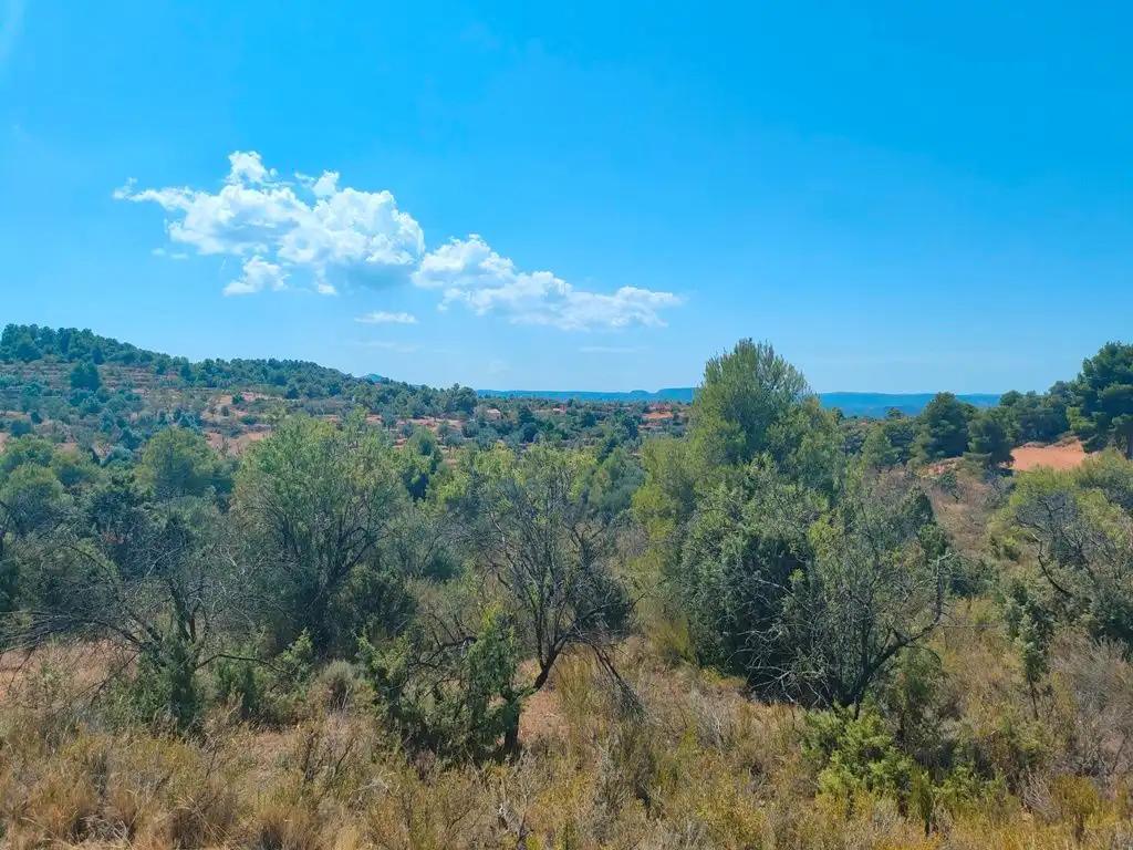 Finca en Venta en Valderrobres