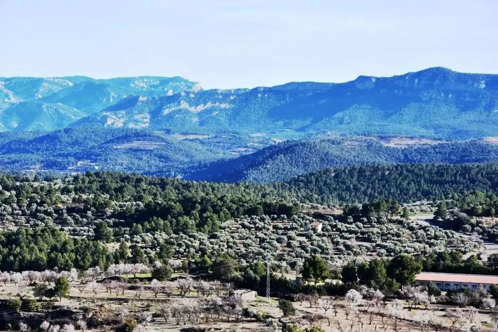 Parcela en Venta en La Fresneda