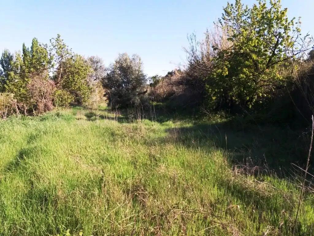 Finca en Venta en Torre del Compte