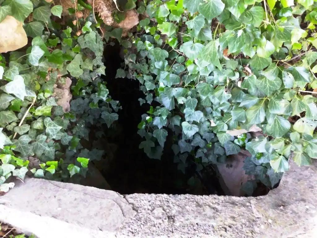 Finca en Venta en Torre del Compte