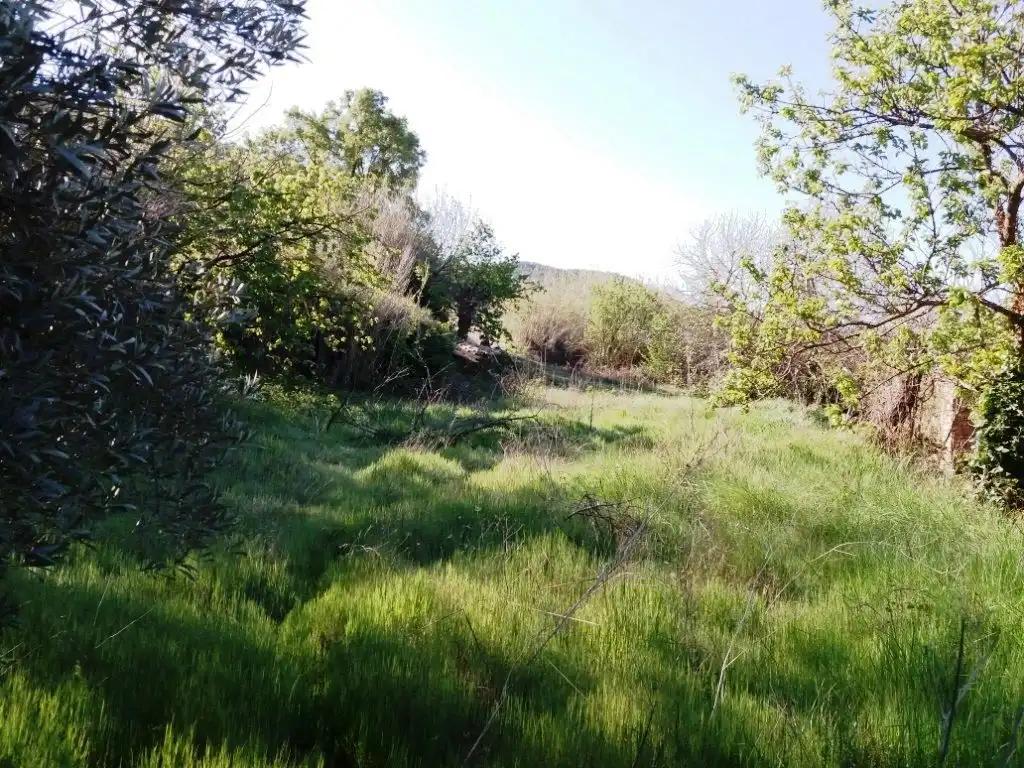 Finca en Venta en Torre del Compte
