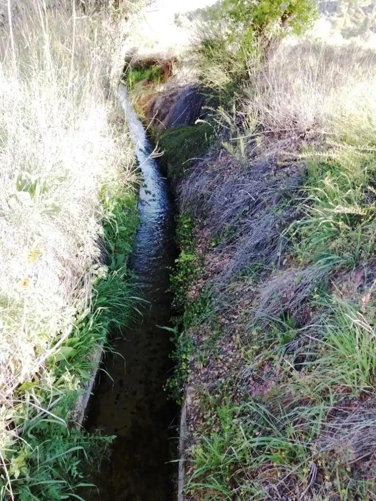 Finca en Venta en Torre del Compte