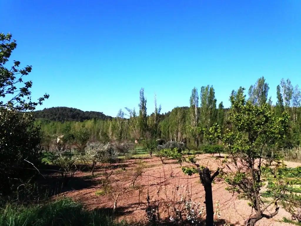 Finca en Venta en Torre del Compte