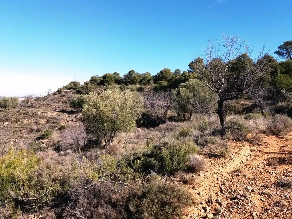 Finca en Venta en Valderrobres