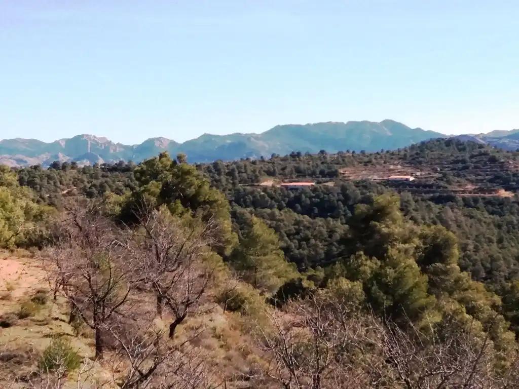 Finca en Venta en Valderrobres
